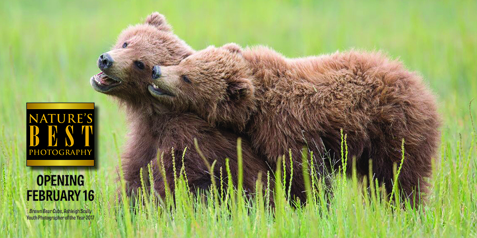 NATURES BEST 2018 BEARS webslide - Nature's Best Photography Opening Day