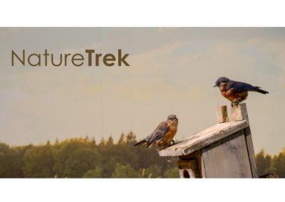 NatureTrek birds 400x284 - Exhibitions