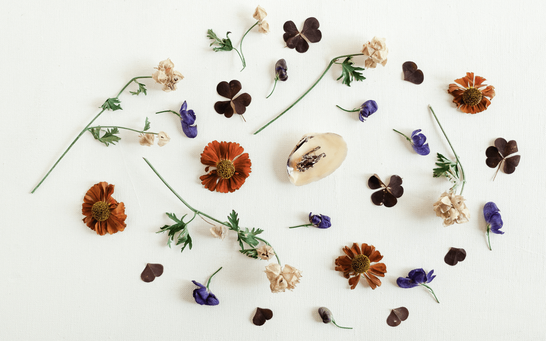 Workshop: Springtime Dried Flower Wreath